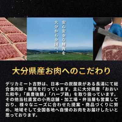 ふるさと納税 豊後高田市 肉屋のまかない豊後牛カレー230g (8袋) レトルトカレー ビーフカレー 8食 |  | 03