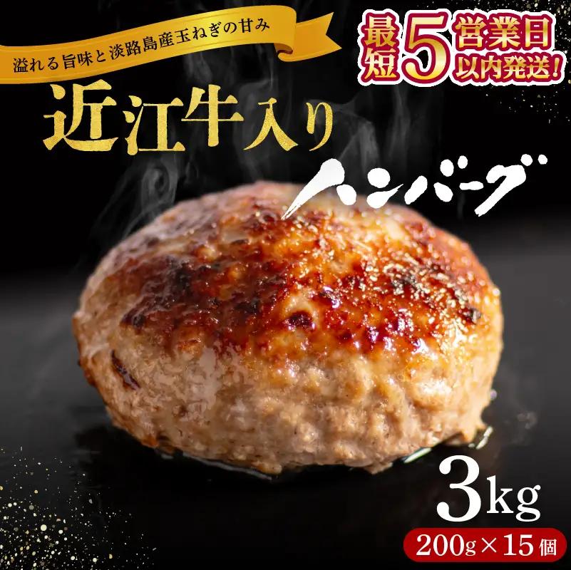 ハンバーグ15個 近江牛入り [RM203_FW]ハンバーグ
