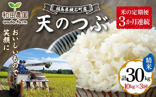 
            【米の定期便】福島県鏡石町産 和田農園「天のつぶ」精米 10kg 3か月連続 米 コメ こめ F6Q-197
          