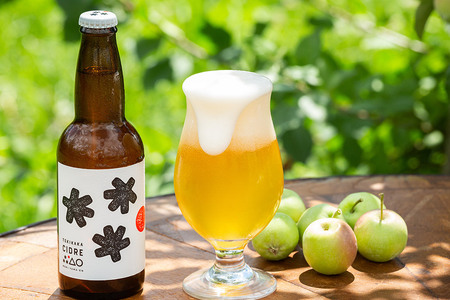 廃棄されてきたりんごを活用した テキカカシードル & ライチ 各2本 と ラガー＆こうとく 各1本 計 330ml×6本セット