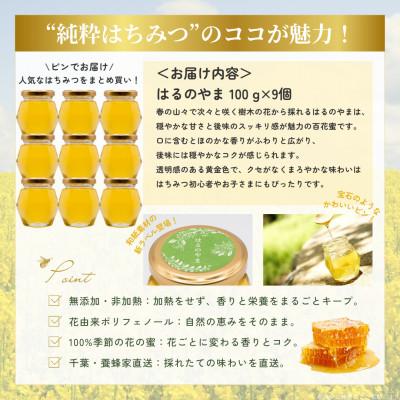 ふるさと納税 大網白里市 千葉県産純粋はちみつ「はるのやま」(百花蜜)【計900g】100g×9個 |  | 03