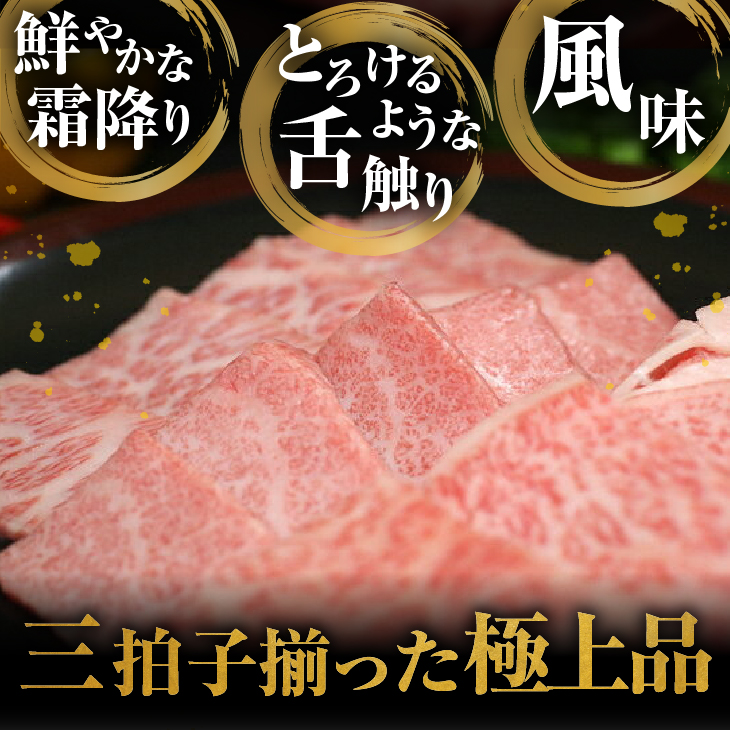 前沢牛贅沢三昧《焼肉》(カルビ100g・上カルビ100g・ロース100g) ブランド牛肉 離島配送不可 [U0047]
