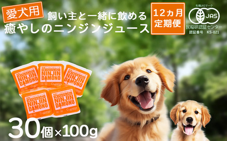 【12ヵ月定期便】飼い主と一緒に飲める「愛犬用」癒やしのニンジンジュース 100g×30個【 茨城県 つくば市 定期便 ジュース ドリンク 飲料 水分補給 にんじん 人参 ニンジン 人参ジュース にんじんジュース キャロットジュース 愛犬 ペット ペットフード ドッグフード 】 