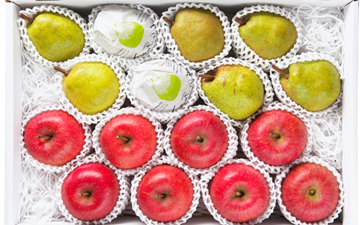 FYN9-384 山形県産 ラ・フランス サンふじりんご 詰合せ 5kg 2025年11月中旬から順次発送 洋梨 ラフランス 林檎 りんご リンゴ 秋果実 果物 くだもの フルーツ 自宅用 産地直送 