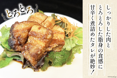 満天の星特製 角煮 (四万十ポーク使用)75g×6袋[株式会社満天の星 高知県 津野町 26ac0003] 豚 四万十ポーク ご当地 とろとろ 丼 電子レンジ 個包装 冷凍