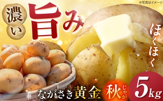 南串産ながさき黄金5kg(秋じゃが) 長崎県/南串ながさき黄金生産組合 [42ALAJ004]