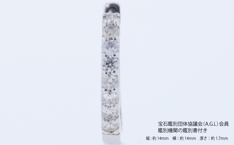 ARC-EN-CIEL PTダイヤピアス（計 0.20ct）【鑑別書付き ジュエリー プレゼント ギフト ファッション アクセサリー 贈り物 贈答 お祝い 記念日】 J088