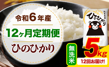 【12ヶ月定期便】令和6年産 無洗米 ひのひかり 定期便 5kg《お申込み月の翌月から出荷開始》令和6年産 熊本県産 ふるさと納税 精米 ひの 米 5kg×1 こめ ふるさとのうぜい ヒノヒカリ コメ お米 hino