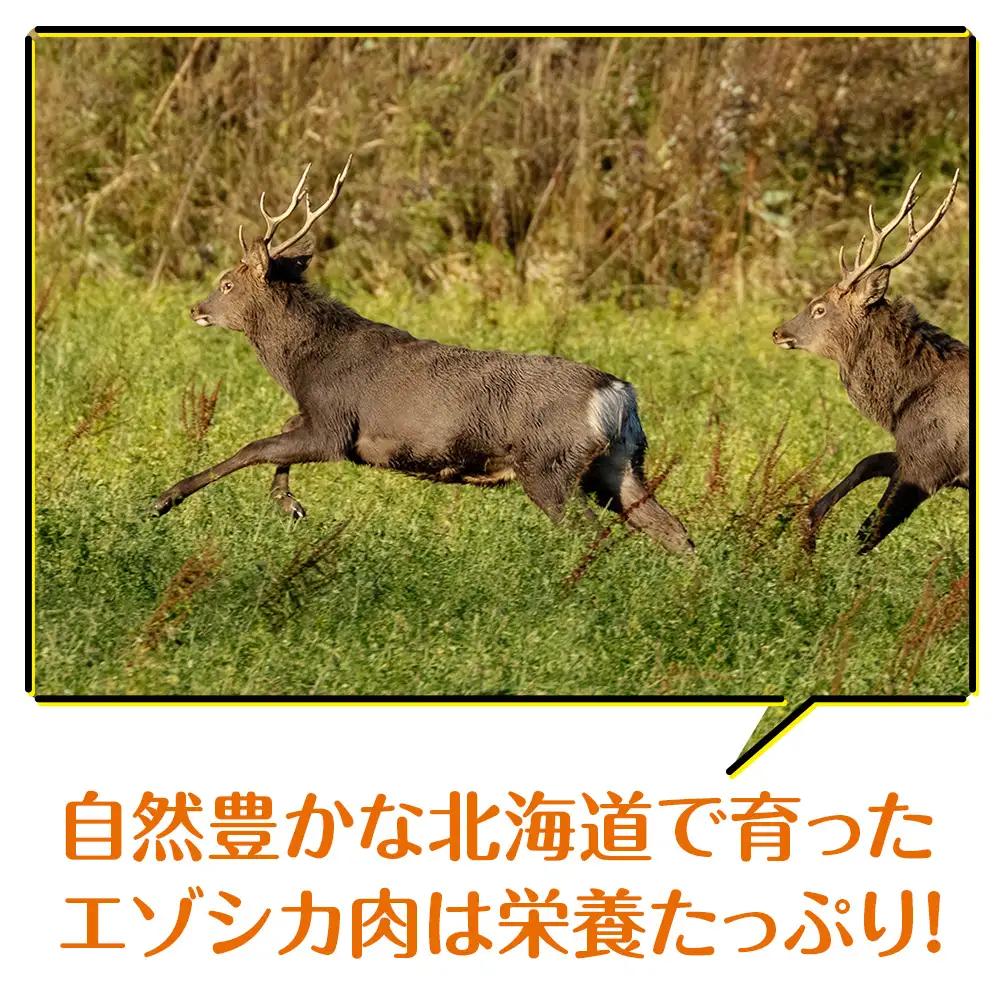 犬 おやつ 鹿肉 無添加 国産 エゾシカ 肉 100％ クッキー 240g (40g×6)