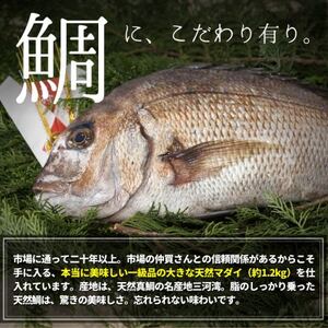 天然真鯛の塩釜(XL・無添加・木槌付)CAS冷凍!誕生日プレゼント、出産祝い、お食い初めに 訳あり [配送不可地域：離島]