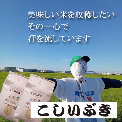 ふるさと納税 燕市 【8年産新米 先行予約】コシヒカリとはひと味違う美味しさ「こしいぶき」白米10kg(5kg×2袋)