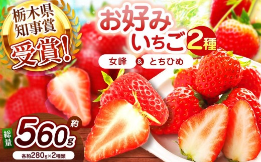 【2027年先行予約】幻のとちひめ×伝統の女峰 食べ比べセット 560g