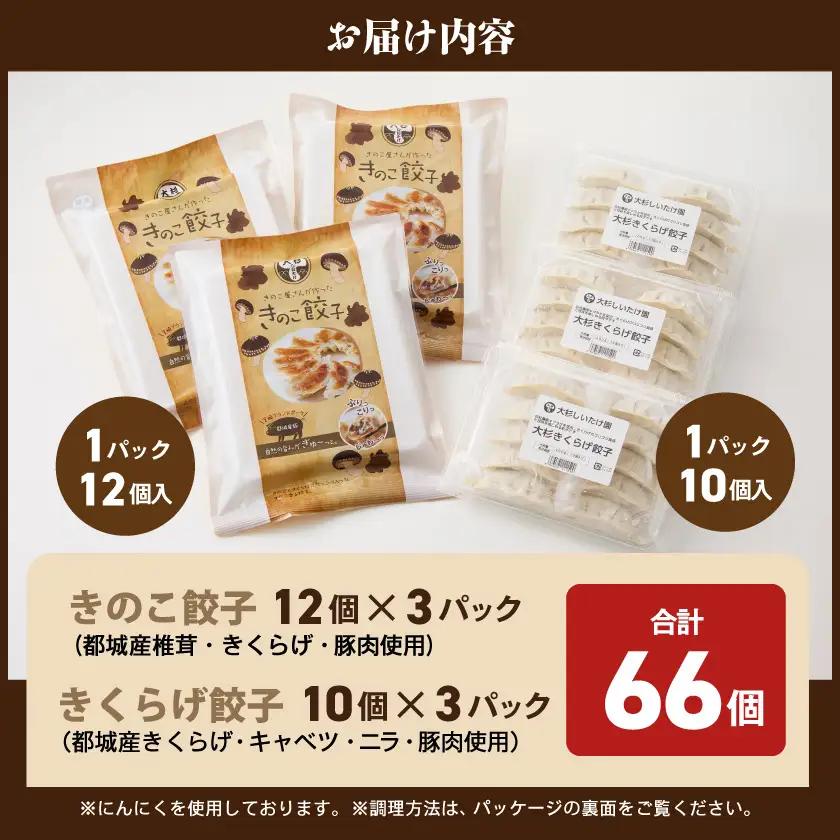 香りを堪能「きのこ餃子」&食感楽しむ「きくらげ餃子」食べ比べ66個_12-87-002_(都城市) ギョウザ きくらげ餃子 きのこ餃子 にんにく使用 大杉しいたけ園 2種 食べ比べ 焼き餃子 水餃子 