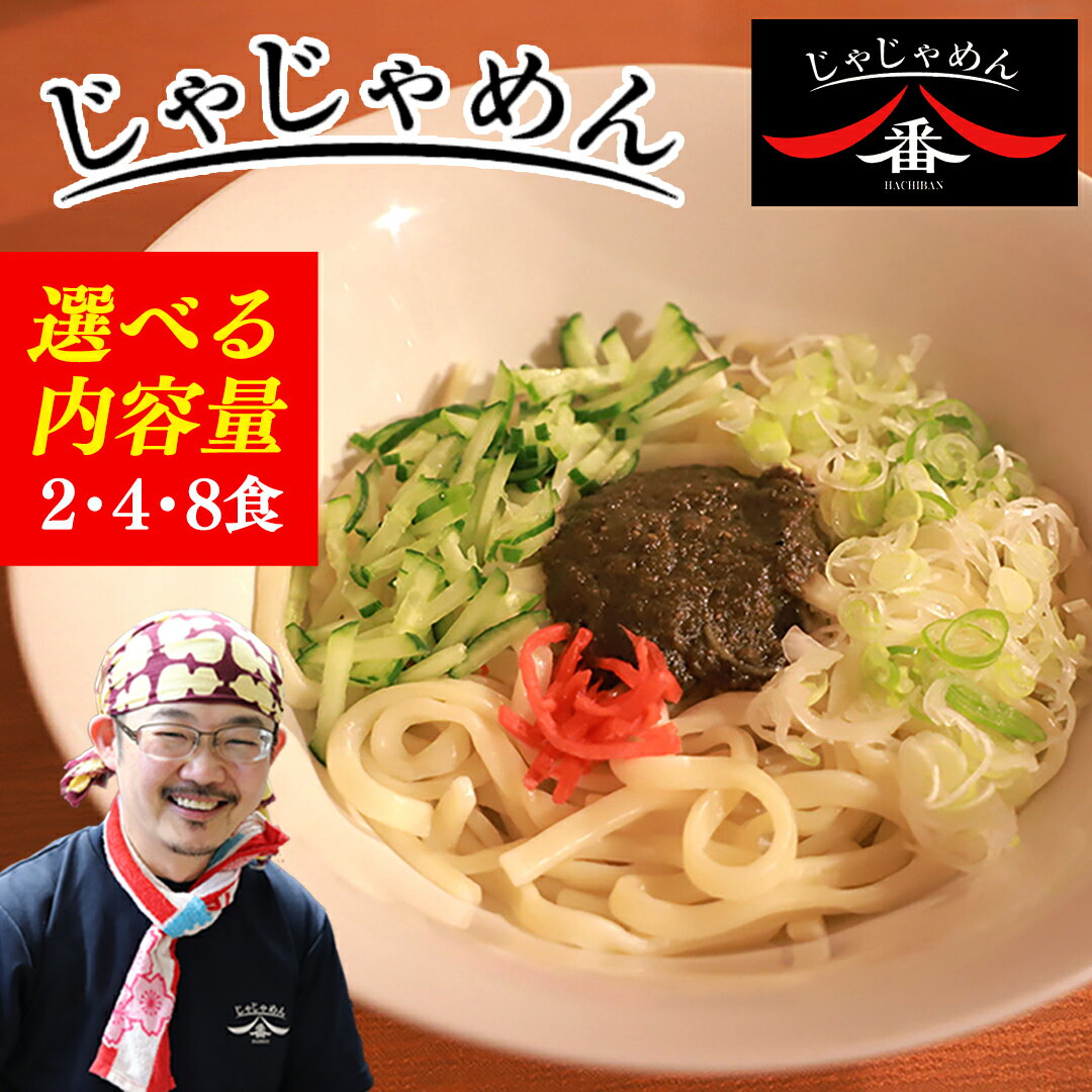 【ふるさと納税】【じゃじゃめん八番】 じゃじゃめん 2食 / 4食 / 8食 盛岡三大麺 ご当地麺 ご当地グルメ ソウルフード うどん おみやげ 麺 めん 味噌 取り寄せ (BE001-00)