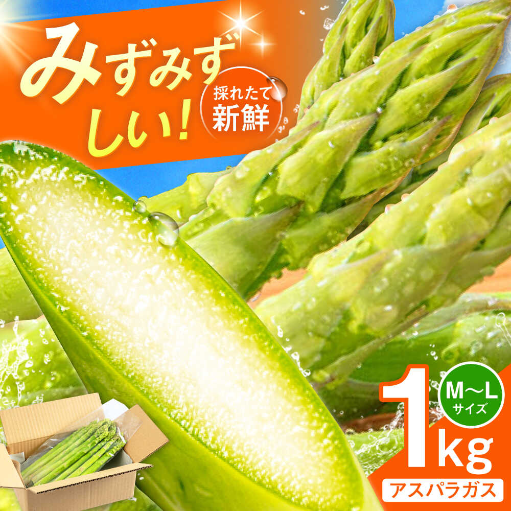 【ふるさと納税】採れたてを直送！糸島野菜 アスパラガス 1kg (M-Lサイズ) 糸島市 / しろファーム 野菜 アスパラ[AHQ001] 12000円 1万2千円