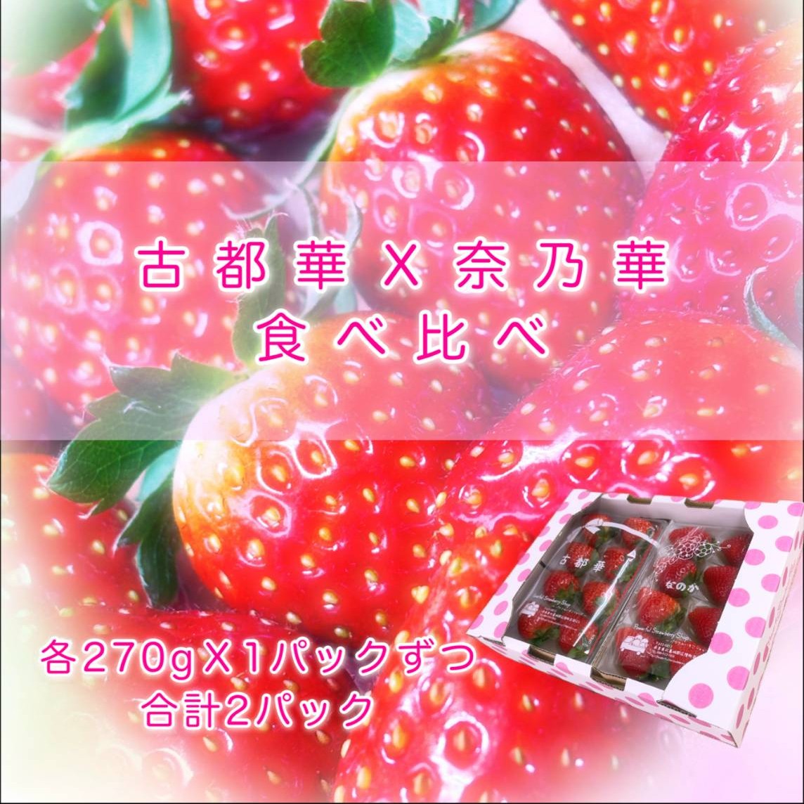 【ふるさと納税】【先行予約】【1月発送】「古都華」「奈乃華」いちご好きのための食べ比べセット 奈良県ブランドいちご // いちご イチゴ 古都華 フルーツ 果物 旬 甘い 先行受付 予約
