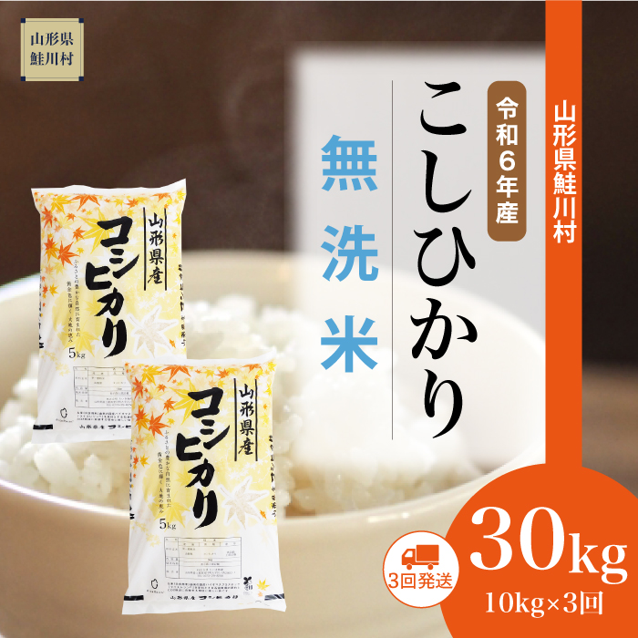 ＜令和6年産米 配送時期指定できます！＞　コシヒカリ【無洗米】30kg定期便 (10kg×3回)　鮭川村