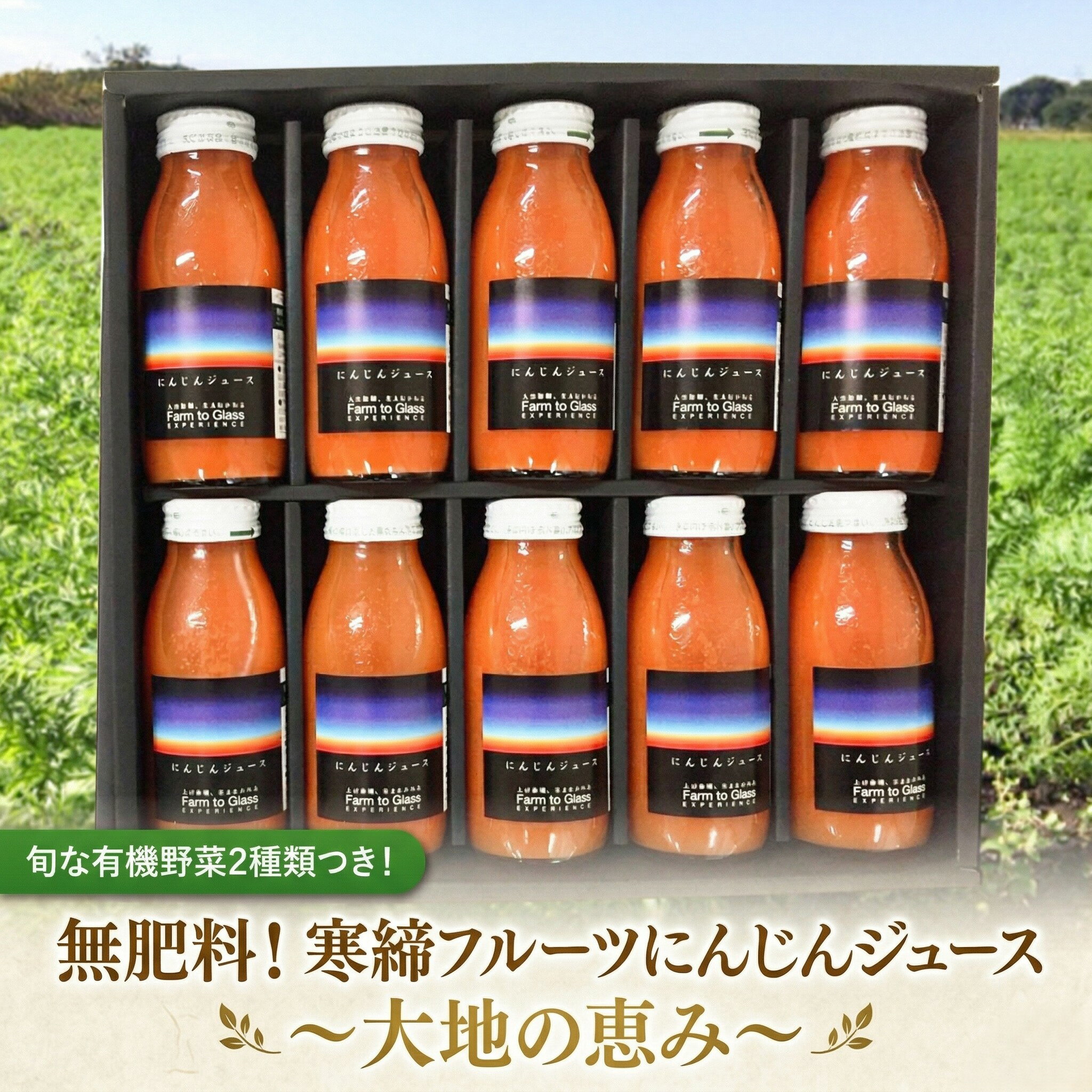 【ふるさと納税】寒締 フルーツ にんじんジュース 計10本 大地の恵み 旬な 有機野菜2種類つき！ JAS認定 ジュース 有機 農薬 化学肥料 不使用 おまかせ にんじん レインボーフューチャー