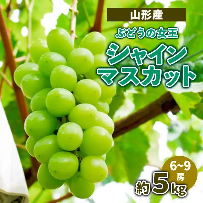 山形産ぶどうの女王 シャインマスカット 約5kg (6～9房） 【令和7年産先行予約】FS23-716 くだもの 果物 フルーツ 山形 山形県 山形市 2025年産