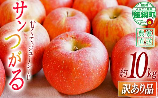 りんご サンつがる 訳あり 10kg 中村ファーム 沖縄県への配送不可 2026年9月上旬頃から2026年9月中旬頃まで順次発送予定 令和8年度収穫分 長野県 飯綱町 [0859]