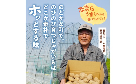 2026年9月中旬～発送 北海道産 じゃがいも食べ比べセット 「きたあかり・男爵」 5kg  ジャガイモ 芋 いも 秋野菜 季節の野菜 直送農場 北海道雨竜町産 サイズ混同 野菜 U012-0005