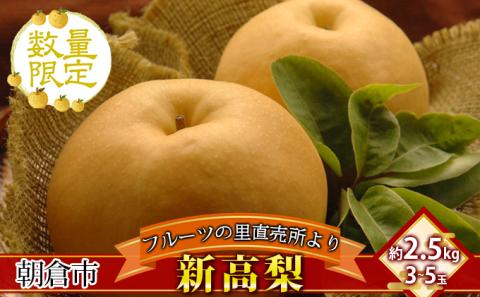 フルーツの里の直売所より 新高梨 2.5kg