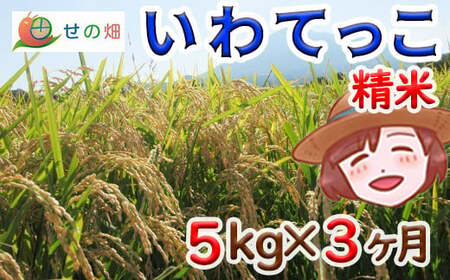 【2024年11月発送開始】 令和6年産 新米 岩手県産 いわてっこ 精米 5kg×3ヶ月定期便 ／ 米 白米 産地直送 農家直送 定期 【せの畑】