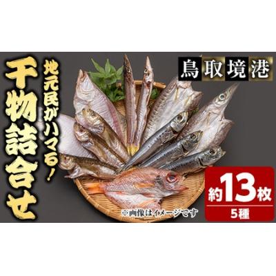 ふるさと納税 境港市 人気干物詰め合わせセット(約13枚)