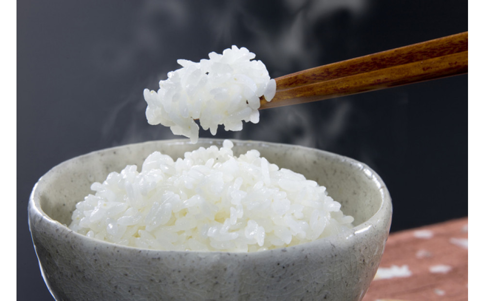 令和7年北海道産 きらら397 5kg（5kg×1袋） 【 白米 精米 ご飯 ごはん 米 5kg  お米 旭川市ふるさと納税 北海道ふるさと納税 】_05643