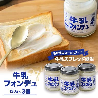 ふるさと納税 御代田町 牛乳フォンデュ 3個セット