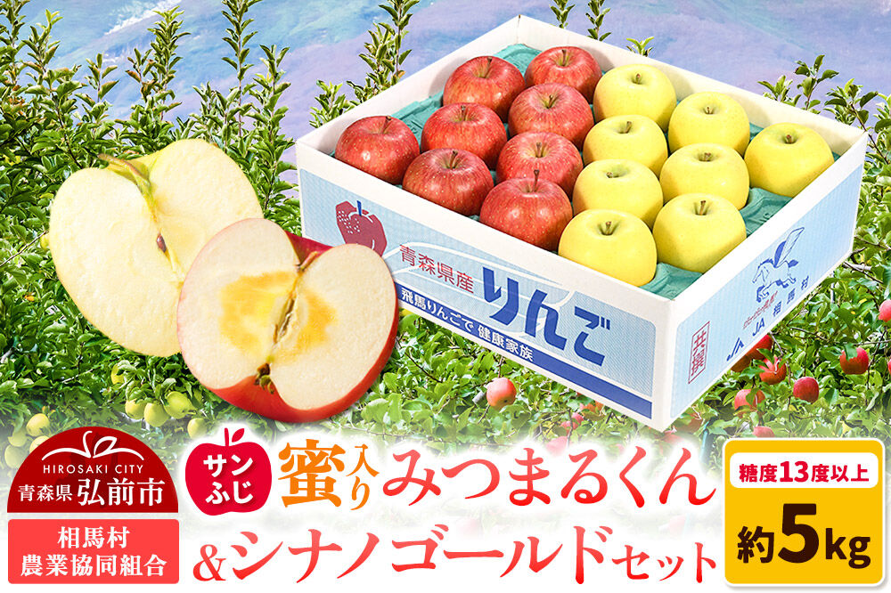【26年11月～発送】りんご 蜜入り サンふじ（みつまるくん）＆シナノゴールド セット 約 5kg [アップル おいしい シナノ シナノゴールド セット セット品 ふじ りんご 黄色 果実 果物 赤色