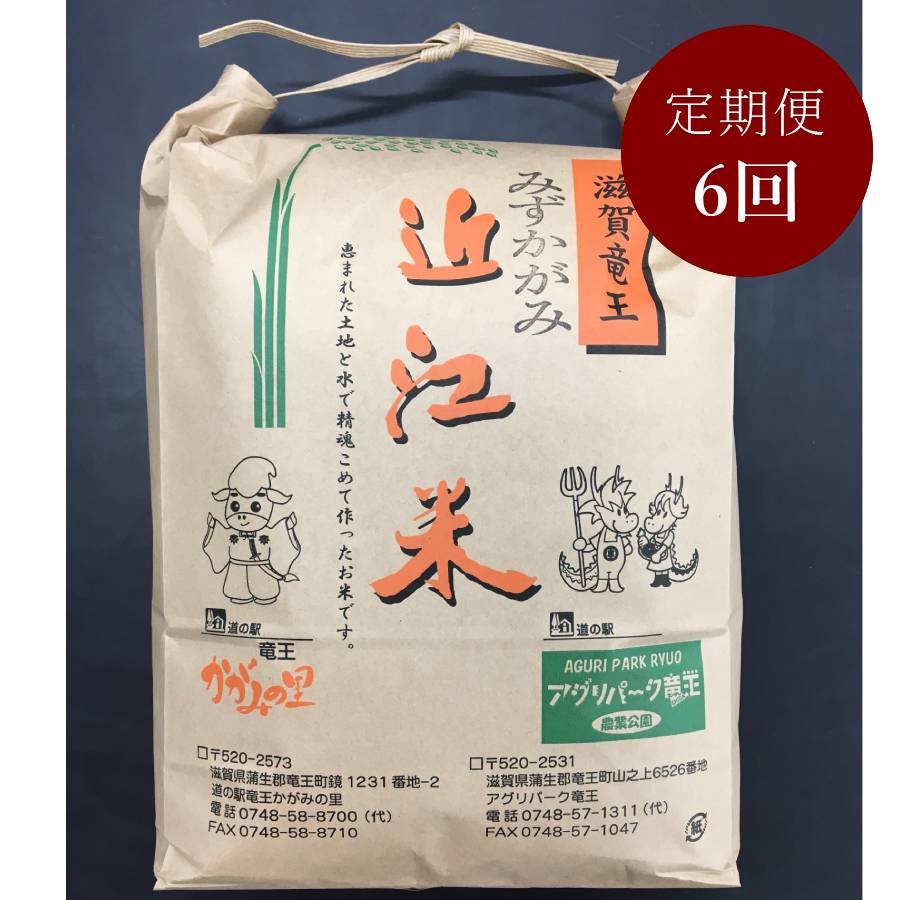＜みらいパーク竜王＞「みずかがみ」4.5kg【6ヵ月定期便】