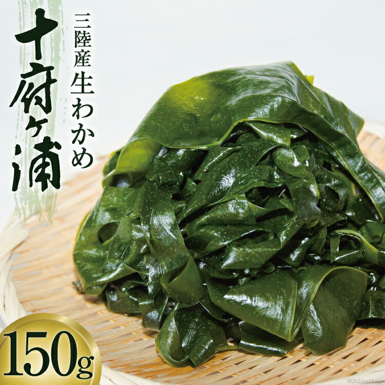 【ふるさと納税】生わかめ 三陸産 十府ヶ浦 150g [マルニシ 宮城県 気仙沼市 20564316] わかめ 海藻 三陸わかめ