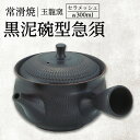 【ふるさと納税】【ギフト包装対応可能】常滑焼 黒泥碗型 急須 300ml 玉龍窯 焼き物 セラメッシュ ろくろ 伝統工芸 飛び鉋 茶器 日本製 茶こし おしゃれ 洗いやすい ギフト プレゼント レトロ 送料無料