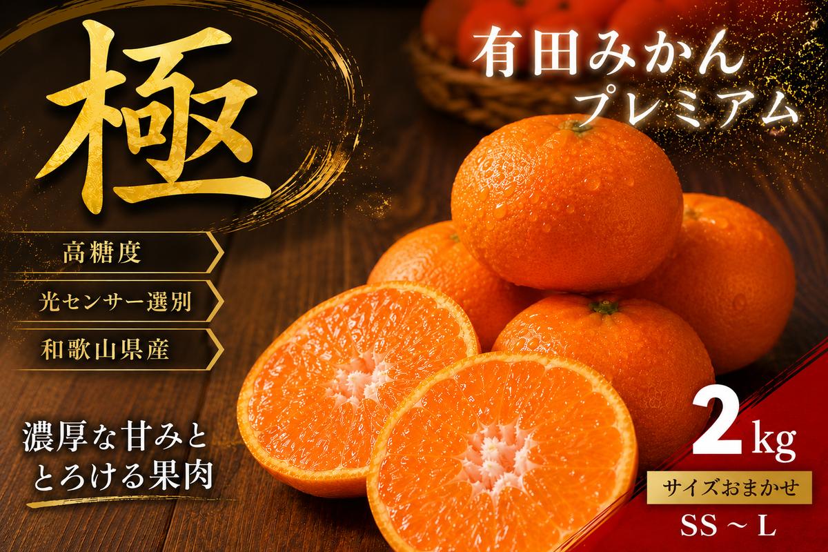 ＼光センサー選別／極 有田みかんプレミアム 約2kg【光センサー 高糖度選別品】2S～Lの小玉サイズ 有機質肥料100% | 光センサー選別 温州みかん みかん 高糖度 柑橘 果物 フルーツ 甘い◇