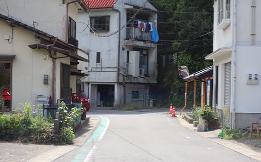 球磨焼酎 園の泉 1800ml (2本) FKP9-536