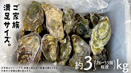 [12〜2月発送]広島の離島から届く牡蠣 約3kg (加熱用) 26〜33個程度 先行予約 ナイフ・軍手付き 牡蠣 殻付き かき 牡蠣 殻付 広島産 カキ 牡蠣 バーベキューBBQ 瀬戸内 大崎上島