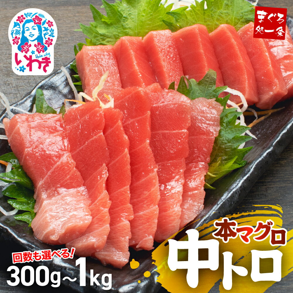 【ふるさと納税】 本マグロ 中トロ 選べる 300g 1kg 定期便 解凍レシピ付 真空包装 個包装 ｜ まぐろ 鮪 本まぐろ 本鮪 刺身 トロ