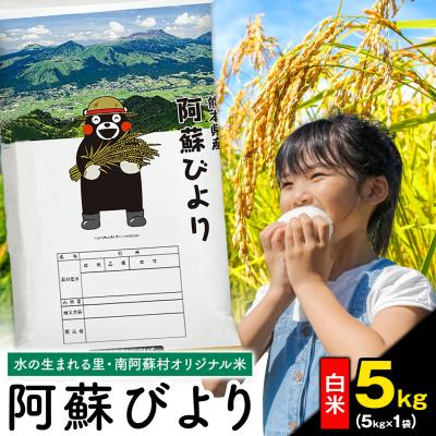 ふるさと納税 南阿蘇村 阿蘇びより 白米 5kg (5kg×1袋) 熊本県産 《1-5日以内に出荷予定(土日祝除く)》