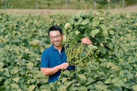  《先行予約》丹波黒枝豆 枝付き 3kg 京都 京丹波町産 【 枝豆 おつまみ 】[010KK008L]