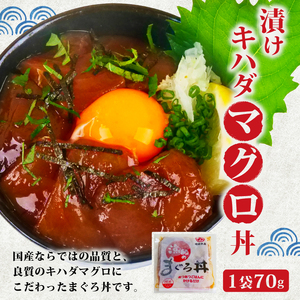 【明神水産のまぐろ丼】漁師の漬けまぐろ丼 10袋セット M-10 ［1635］