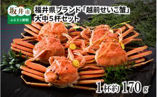 【先行予約】福井県ブランド ≪茹で≫「越前セイコ蟹」 大中5杯セット 【2025年12月発送分】 [I-1402_12]