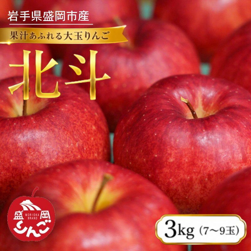 【ふるさと納税】先行予約 北斗 りんご 3kg 7〜9個 10月〜順次発送 盛岡りんご 林檎 リンゴ 果物 フルーツ 旬の果物 季節の果物 国産 産地直送 くだもの 岩手県 盛岡市 東北 岩手 盛岡 朝島観光りんご園 asashima008