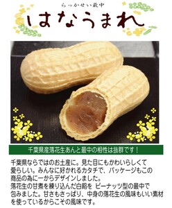 お菓子のたいよう　菓子詰合せAセットト ／ 花彩菓 ぴーなっつサブレ 落花生せんべい はなうまれ 九十九里の詩 ヤマサ醤油まんじゅう すいーとパイもん 和菓子 和スイーツ お菓子 菓子 おやつ お菓子