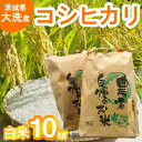 【ふるさと納税】令和6年産 新米 大洗産 コシヒカリ 白米 10kg (5kg×2袋） お米 茨城 精米 こめ 米 茨城県産米