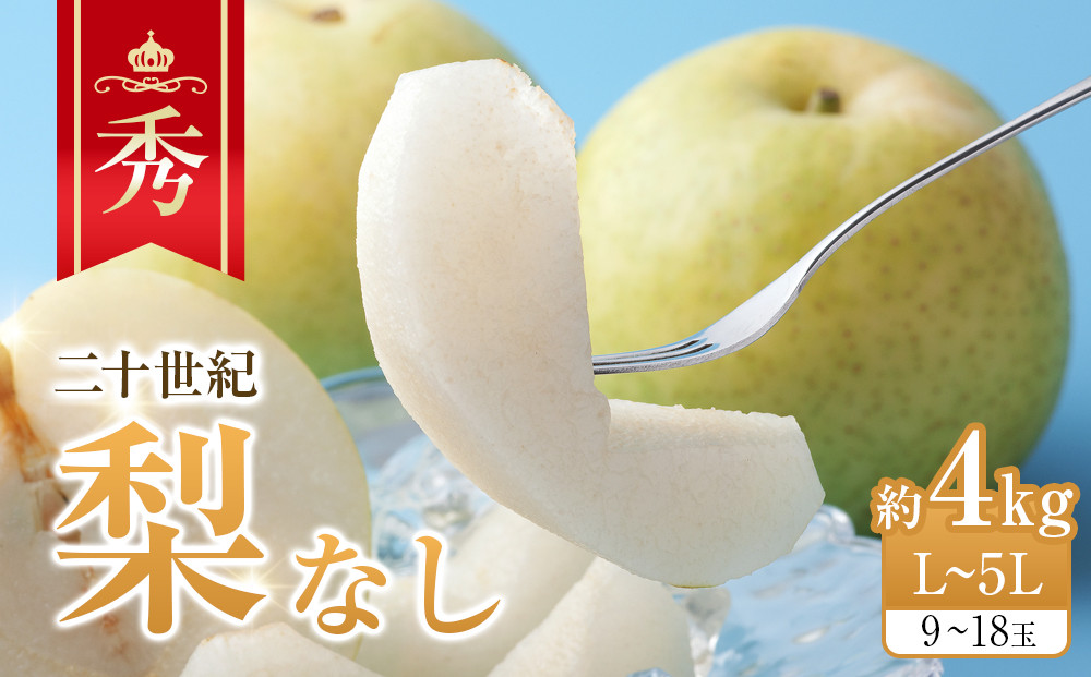 280.【先行予約】二十世紀梨　秀　約4Kg　L～5L　9～18玉前後◇　※2025年8月下旬～9月下旬頃に順次発送予定 313726_AN056