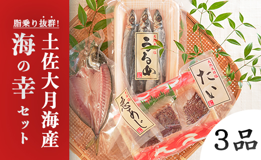 土佐大月海産　海の幸セット　3品