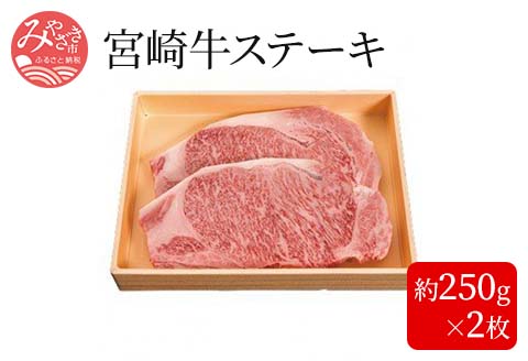 宮崎牛ステーキ＜約250g×2枚＞ |牛肉 牛 肉 ステーキ