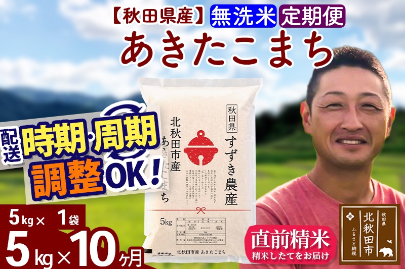 ※令和7年産 新米※《定期便10ヶ月》秋田県産 あきたこまち 5kg【無洗米】(5kg小分け袋) 2025年産 お届け時期選べる お届け周期調整可能 隔月に調整OK お米 すずき農産|szap-30310