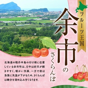 さくらんぼの王様 佐藤錦 200g×4パック 合計800g(L~2L) 【2024年発送先行予約】 余市 北海道 フルーツ王国 さくらんぼ サクランボ 桜桃 佐藤錦 余市産さくらんぼ  小分けさくらん